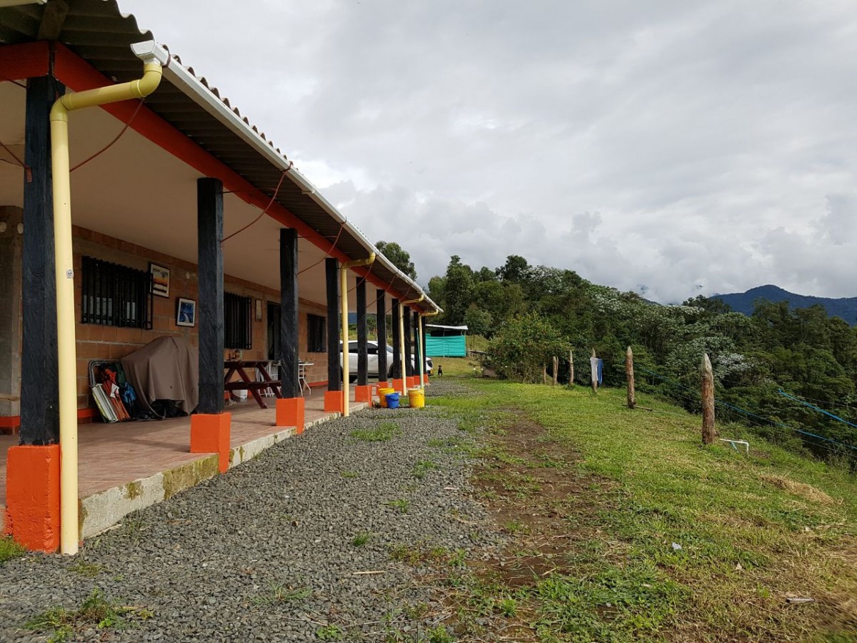 Foto de Finca en Venta en Santa rosa de cabal, Santa rosa de cabal - 6 - 279056021