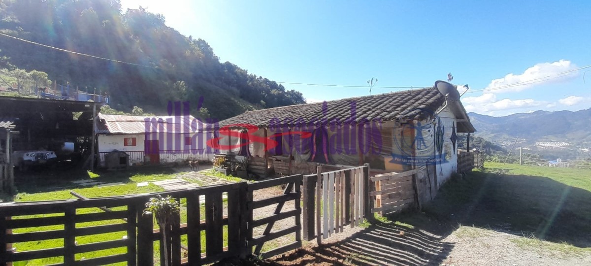 Foto de Lote / terreno en Venta en Cerro de oro, Manizales - 2 - 51810