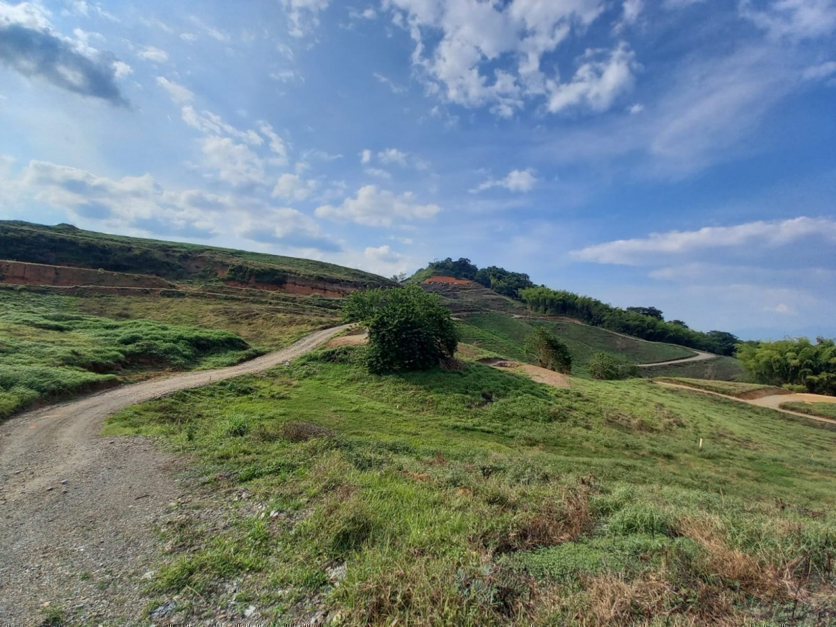 Foto de Lote / terreno en Venta en Vereda santagueda, Palestina - 1 - 24519