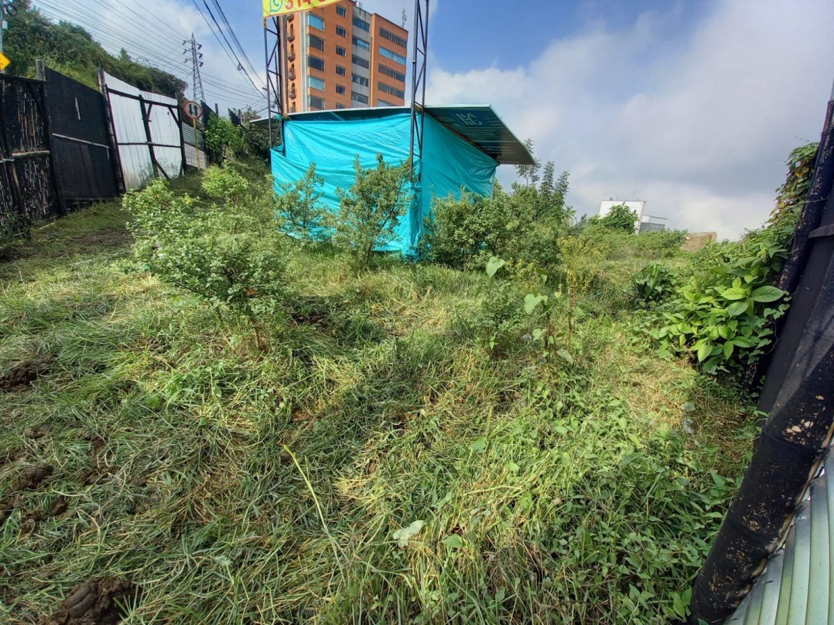 Foto de Lote / terreno para Venta en Alto del perro, Manizales - 79024251