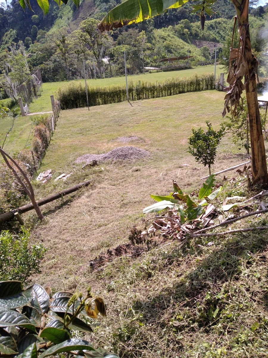 Foto de Lote / terreno en Venta en San peregrino, Manizales - 8 - 279024611