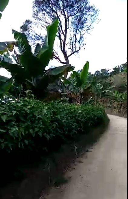 Foto de Finca en Venta en Llano grande, Neira - 7 - 279022223