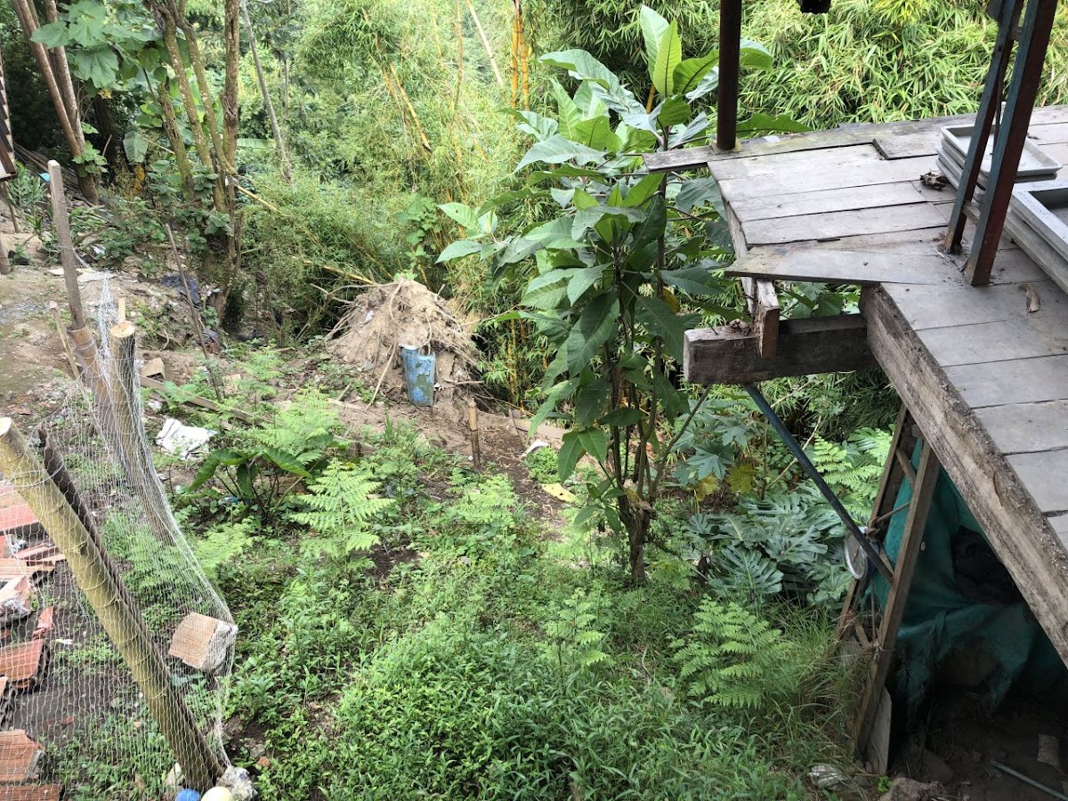 Foto de Lote / terreno en Venta en Panamericana, Manizales - 5 - 20489