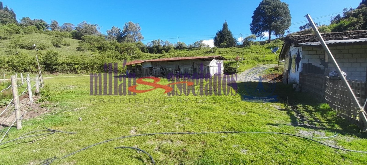 Foto de Lote / terreno en Venta en Cerro de oro, Manizales - 10 - 51810