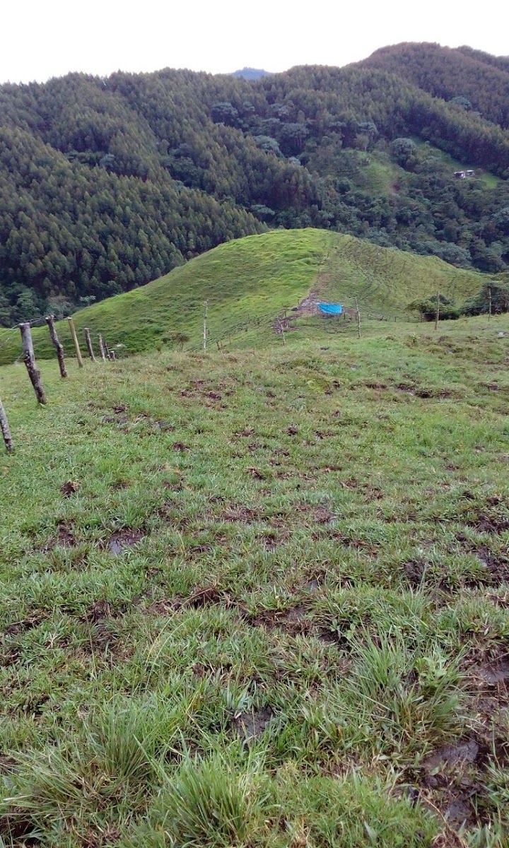 Foto de Finca en Venta en Santa rosa de cabal, Santa rosa de cabal - 24 - 279056021