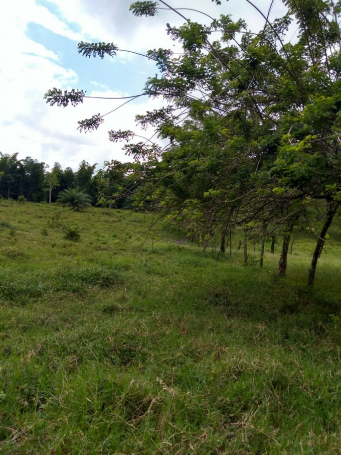 Foto de Lote / terreno en Venta en Vereda la libertad, Risaralda - 6 - 18529