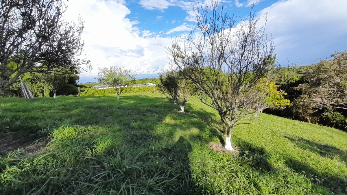 Foto de Lote / terreno en Venta en Arauca via risaralda, Risaralda - 15 - 279024588