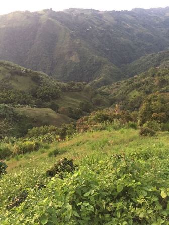 Foto de Finca en Venta en Altobonito, Manizales - 0 - 17458