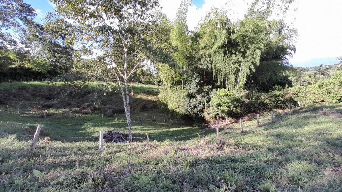 Foto de Lote / terreno en Venta en Arauca via risaralda, Risaralda - 7 - 279024588