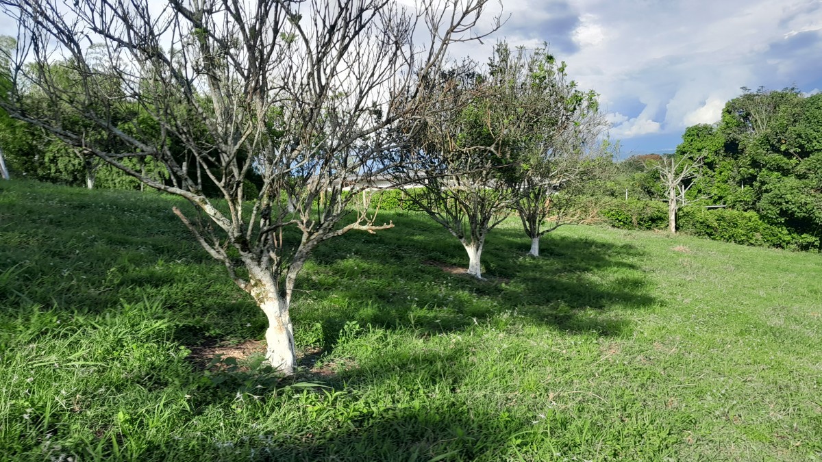 Foto de Lote / terreno en Venta en Arauca via risaralda, Risaralda - 23 - 279024588