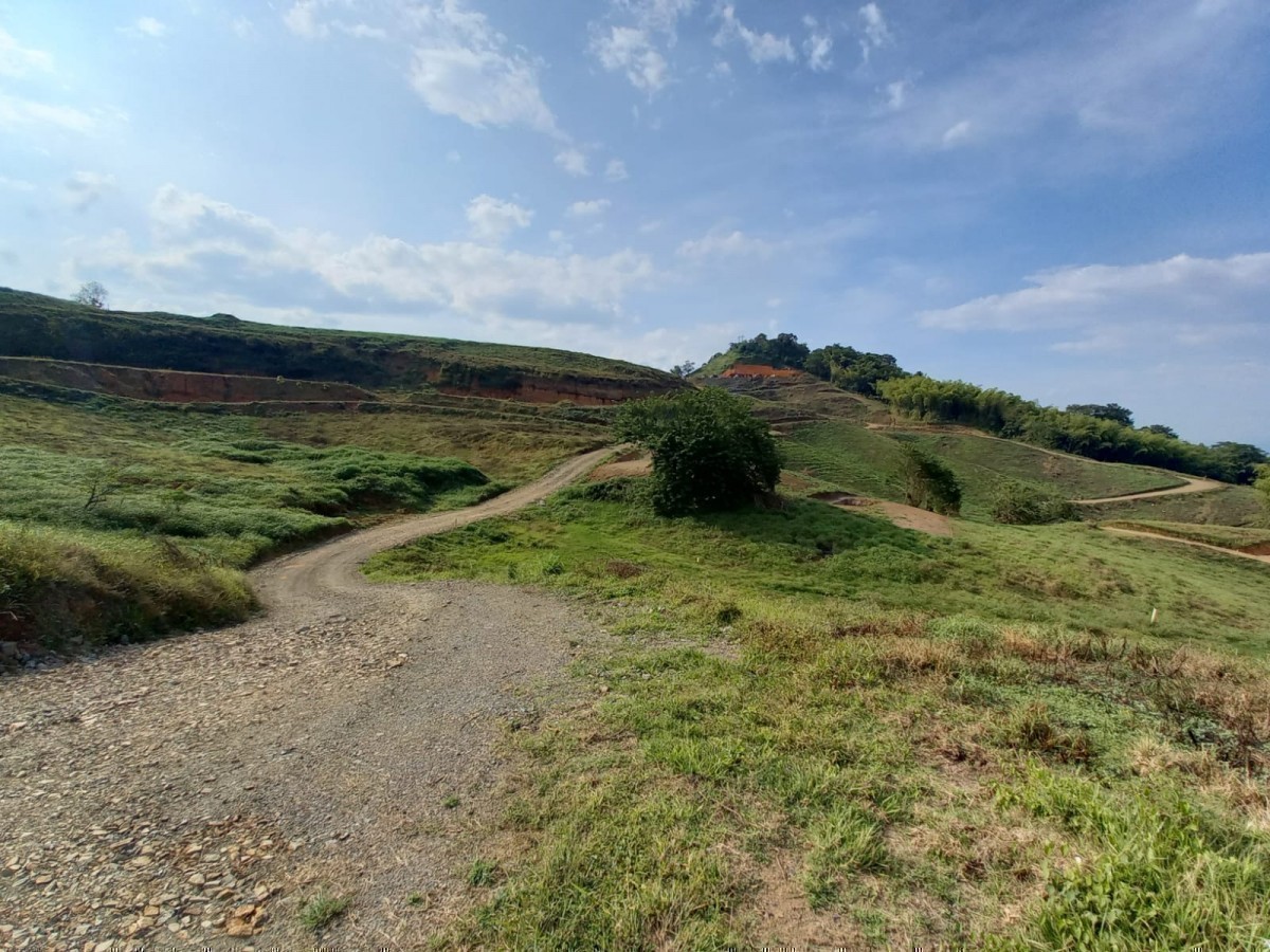 Foto de Lote / terreno en Venta en Vereda santagueda, Palestina - 1 - 24575