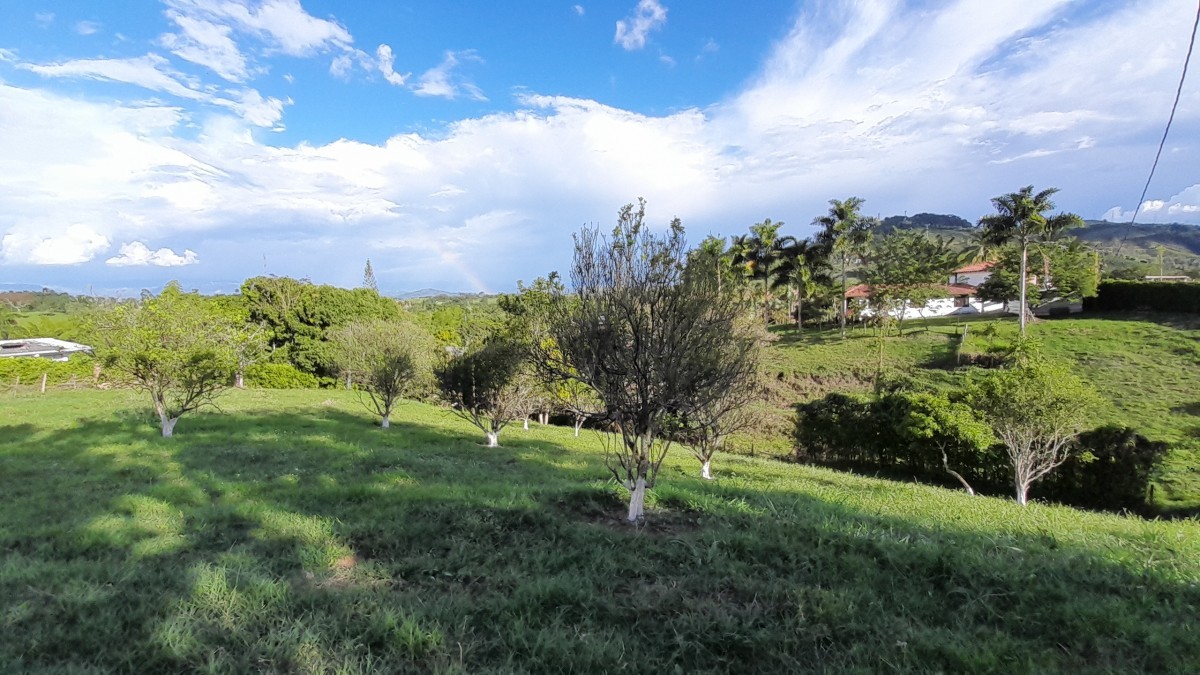 Foto de Lote / terreno en Venta en Arauca via risaralda, Risaralda - 13 - 279024588