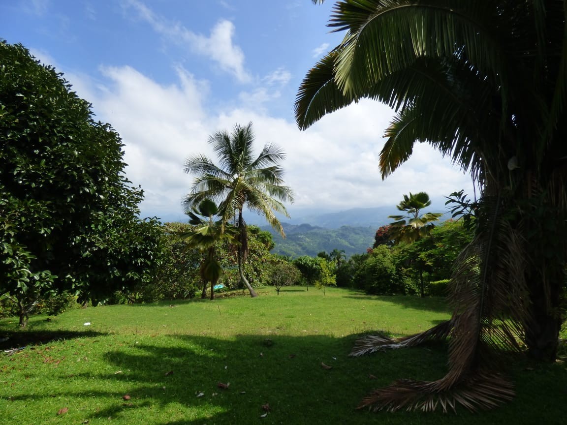Foto de Lote / terreno en Venta en La cabaña, Manizales - 10 - 23074