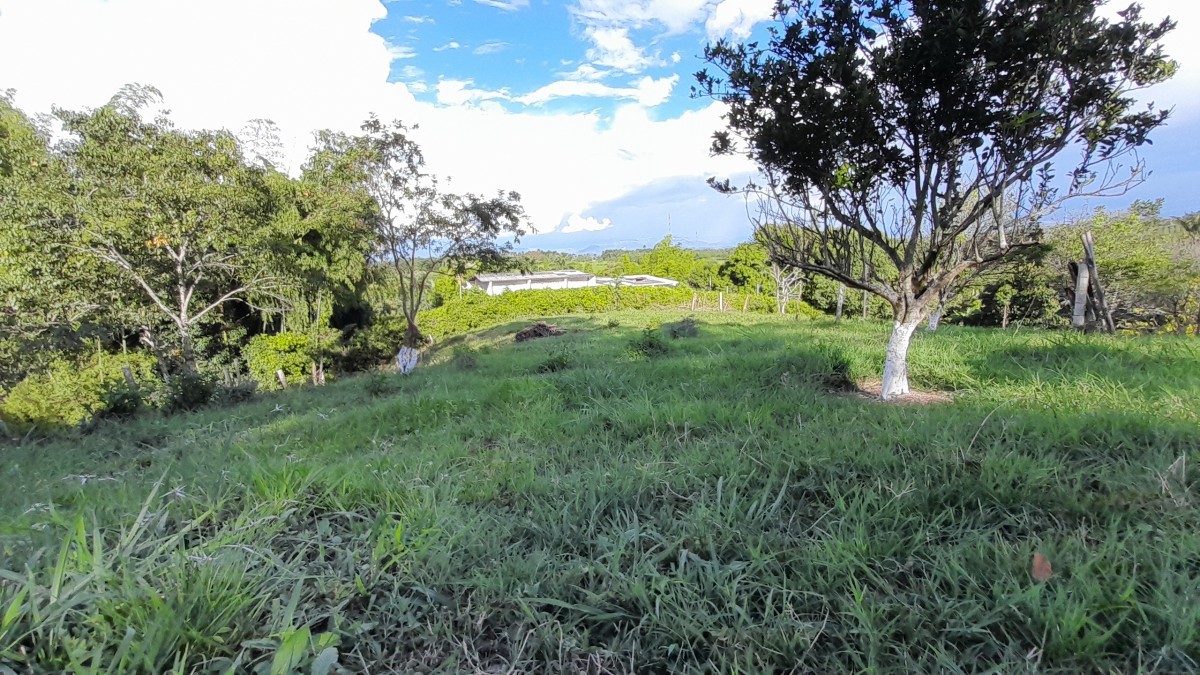 Foto de Lote / terreno en Venta en Arauca via risaralda, Risaralda - 4 - 279024588