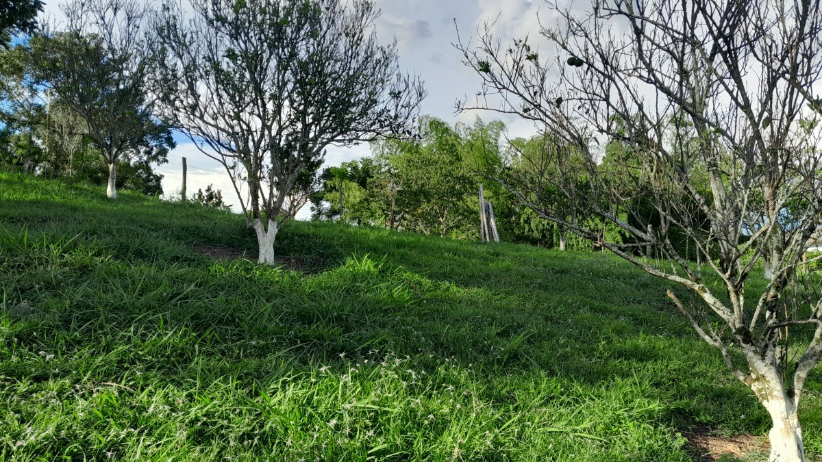 Foto de Lote / terreno en Venta en Arauca via risaralda, Risaralda - 22 - 279024588
