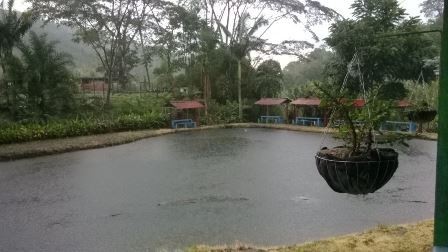 Foto de Finca en Venta en Santa rosa de cabal, Santa rosa de cabal - 8 - 279015618
