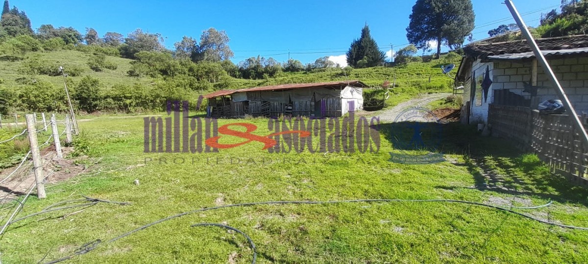 Foto de Lote / terreno para Venta en Cerro de oro, Manizales - 51810