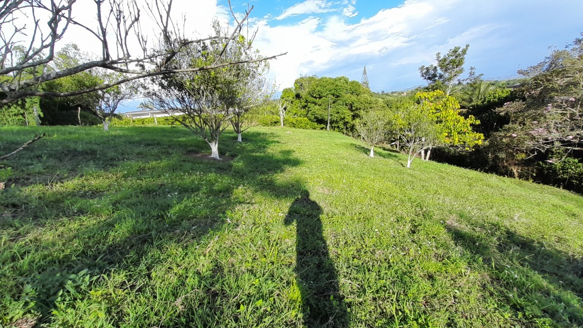 Foto de Lote / terreno en Venta en Arauca via risaralda, Risaralda - 18 - 279024588