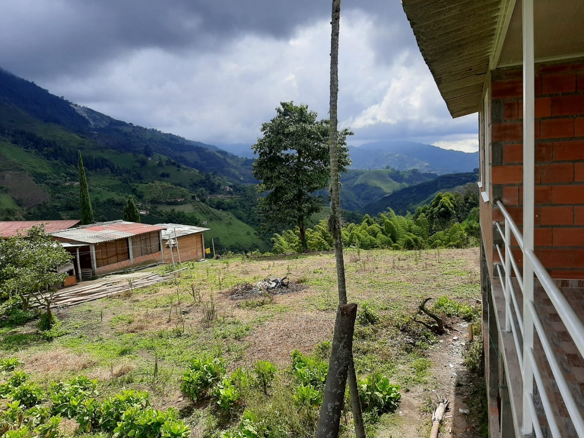 Foto de Lote / terreno para Venta en Bajo tablazo, Manizales - 279023741