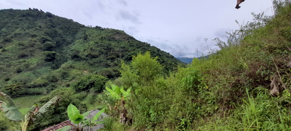 Foto de Finca en Venta en Los nogales, Manizales - 14 - 24633