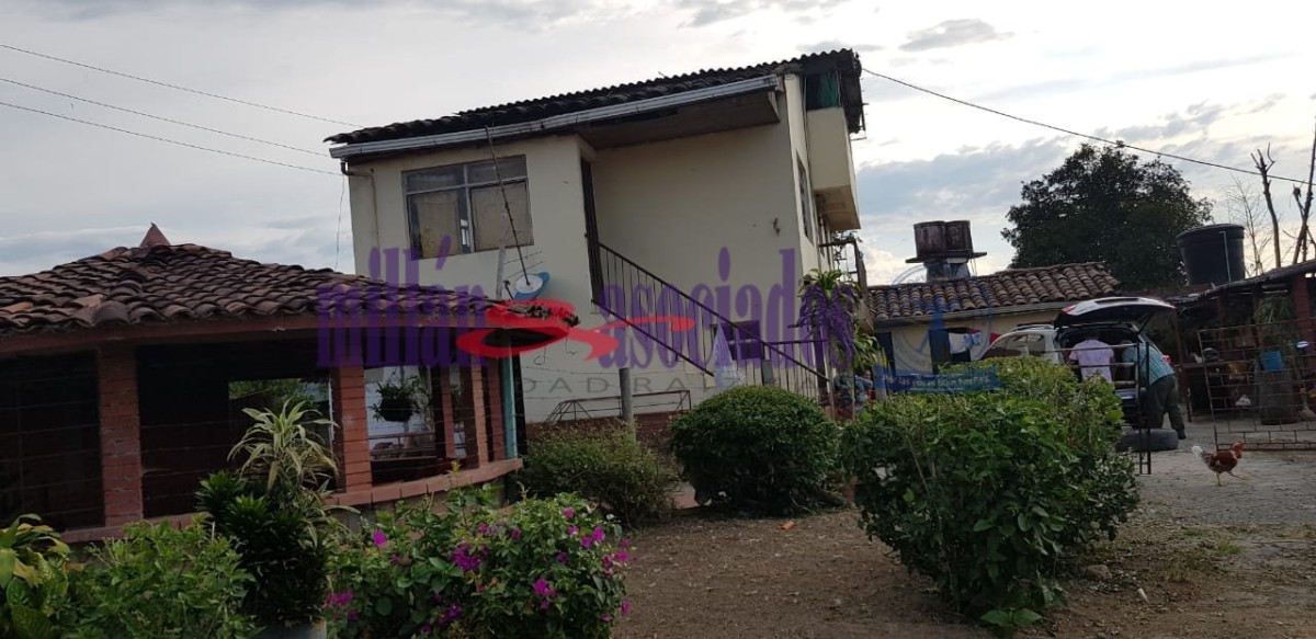 Foto de Finca en Venta en Tres esquinas, Chinchina - 6 - 52177