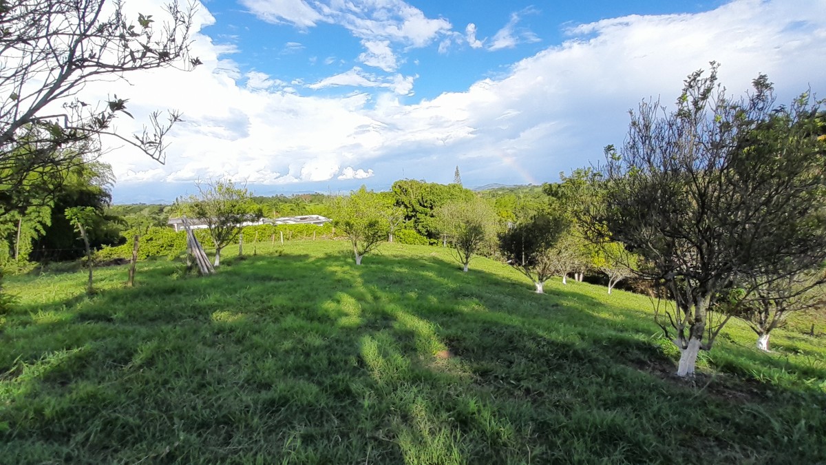 Foto de Lote / terreno en Venta en Arauca via risaralda, Risaralda - 14 - 279024588
