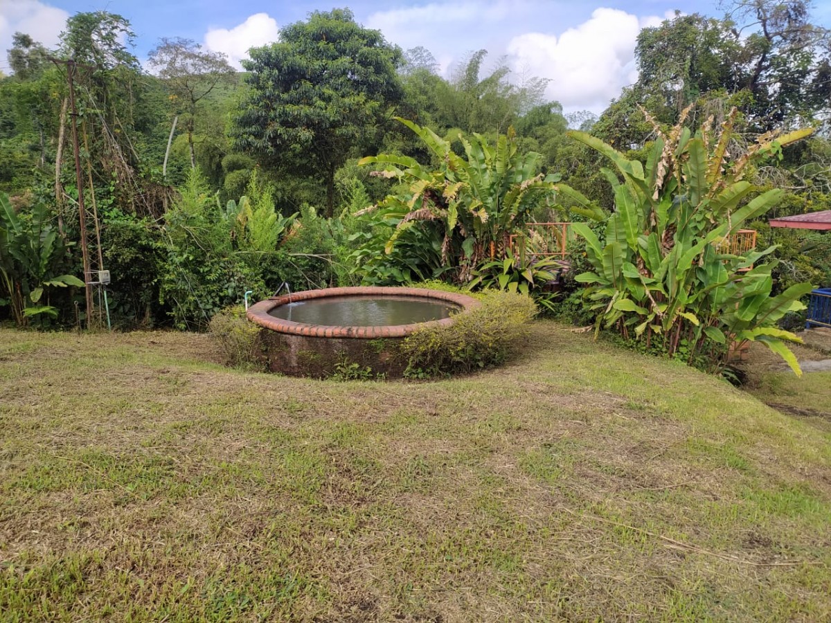 Foto de Finca en Venta en La plata, Palestina - 4 - 279023790