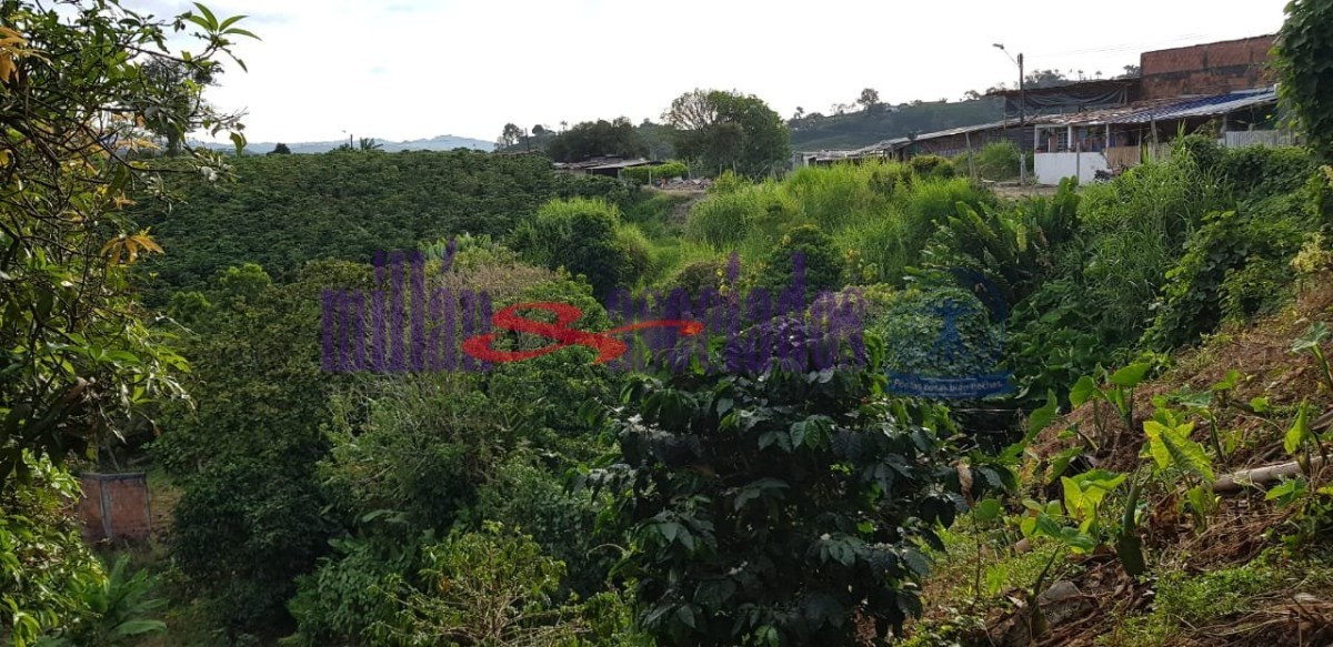 Foto de Finca en Venta en Tres esquinas, Chinchina - 18 - 52177
