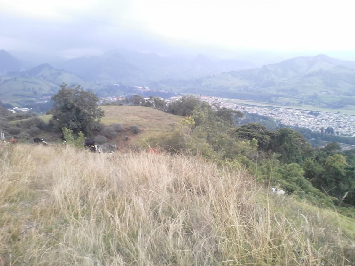 Foto de Finca para Venta en Rio blanco, Manizales - 13527