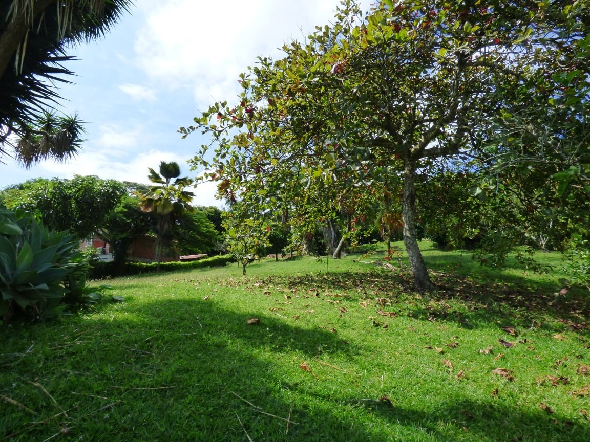 Foto de Lote / terreno en Venta en La cabaña, Manizales - 14 - 23074