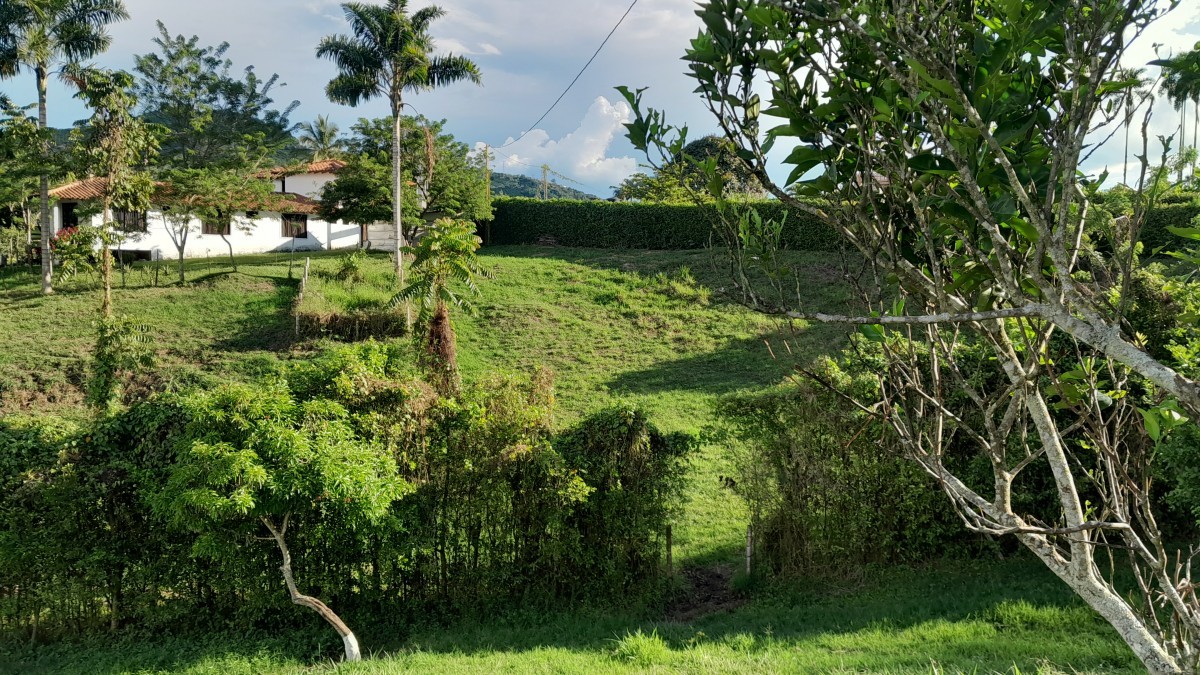 Foto de Lote / terreno en Venta en Arauca via risaralda, Risaralda - 24 - 279024588