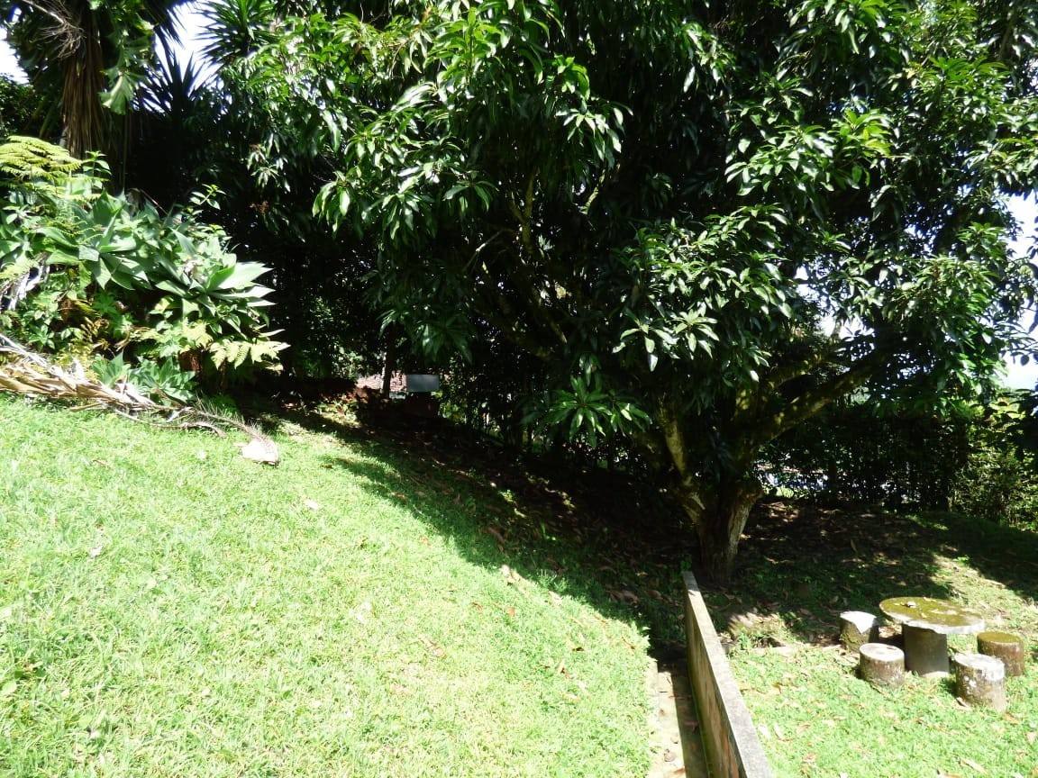 Foto de Lote / terreno en Venta en La cabaña, Manizales - 13 - 23074