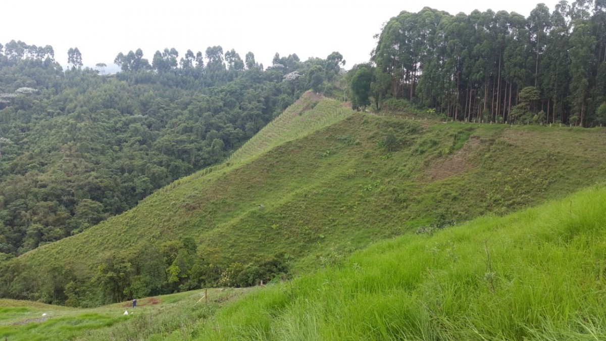Foto de Finca en Venta en Santa rosa de cabal, Santa rosa de cabal - 22 - 279056021