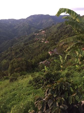 Foto de Finca en Venta en Altobonito, Manizales - 1 - 17458