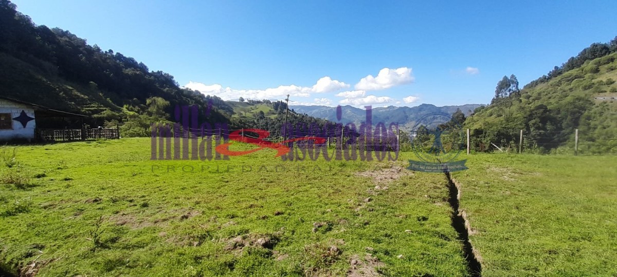 Foto de Lote / terreno en Venta en Cerro de oro, Manizales - 7 - 51810
