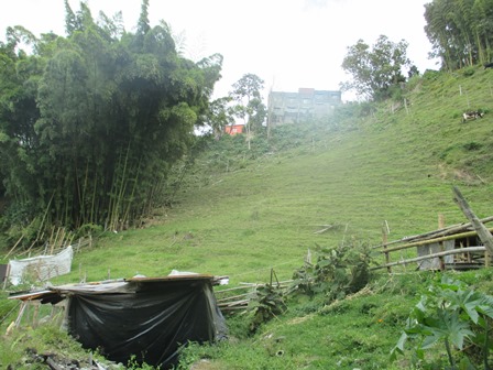 Foto de Lote / terreno para Venta en VillamarÍa, Villamaria - 279019614
