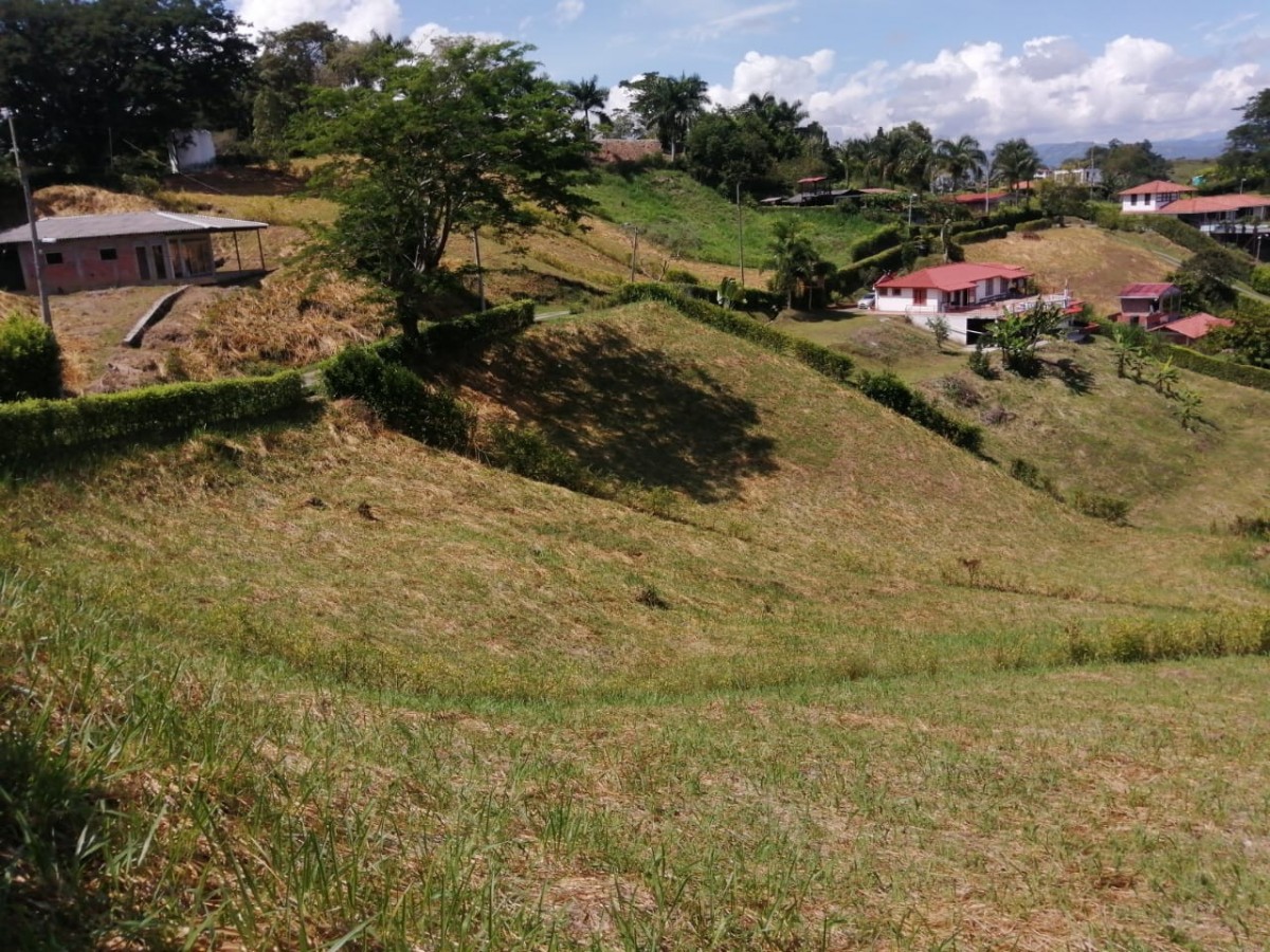 Foto de Lote / terreno en Venta en Palermo, Neira - 7 - 279023559