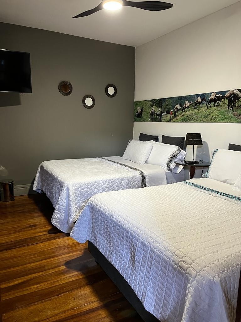 Foto de Casa en Venta en El alto, Salamina - 24 - 279023368