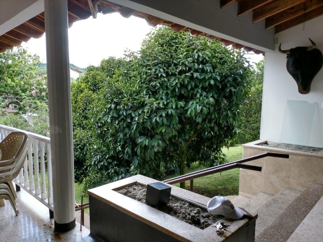 Foto de Finca en Venta en Vereda santagueda, Palestina - 6 - 279014376