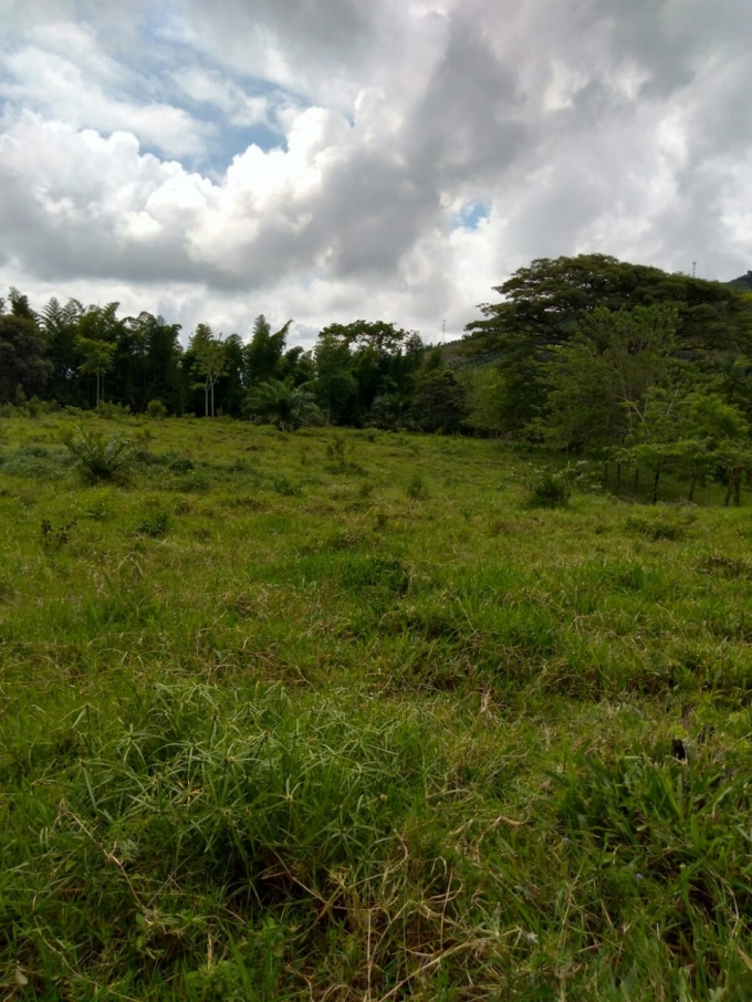 Foto de Lote / terreno en Venta en Vereda la libertad, Risaralda - 7 - 18529