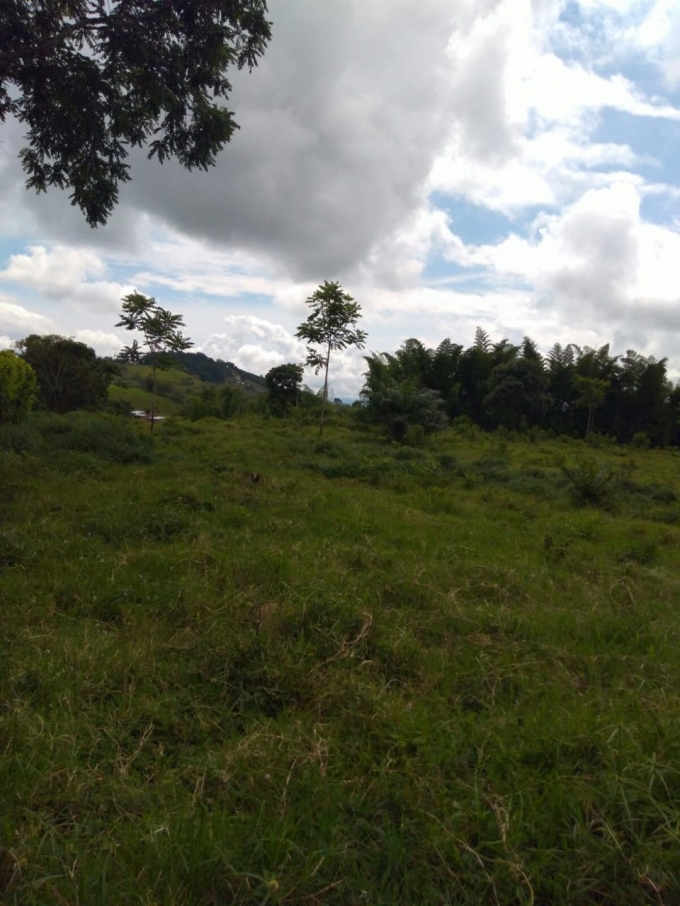 Foto de Lote / terreno en Venta en Vereda la libertad, Risaralda - 2 - 18529