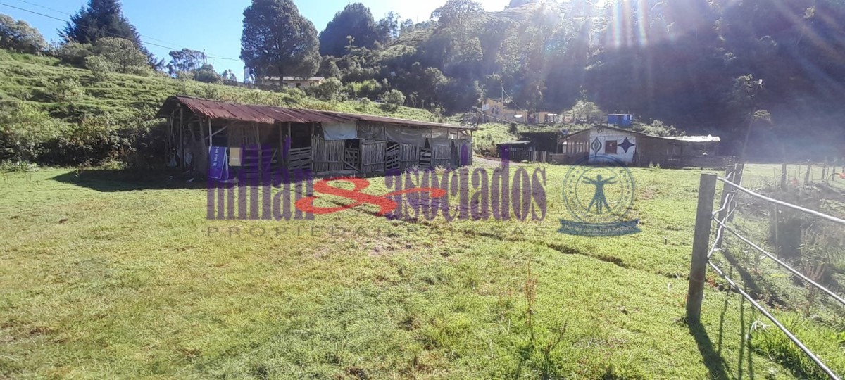 Foto de Lote / terreno en Venta en Cerro de oro, Manizales - 14 - 51810