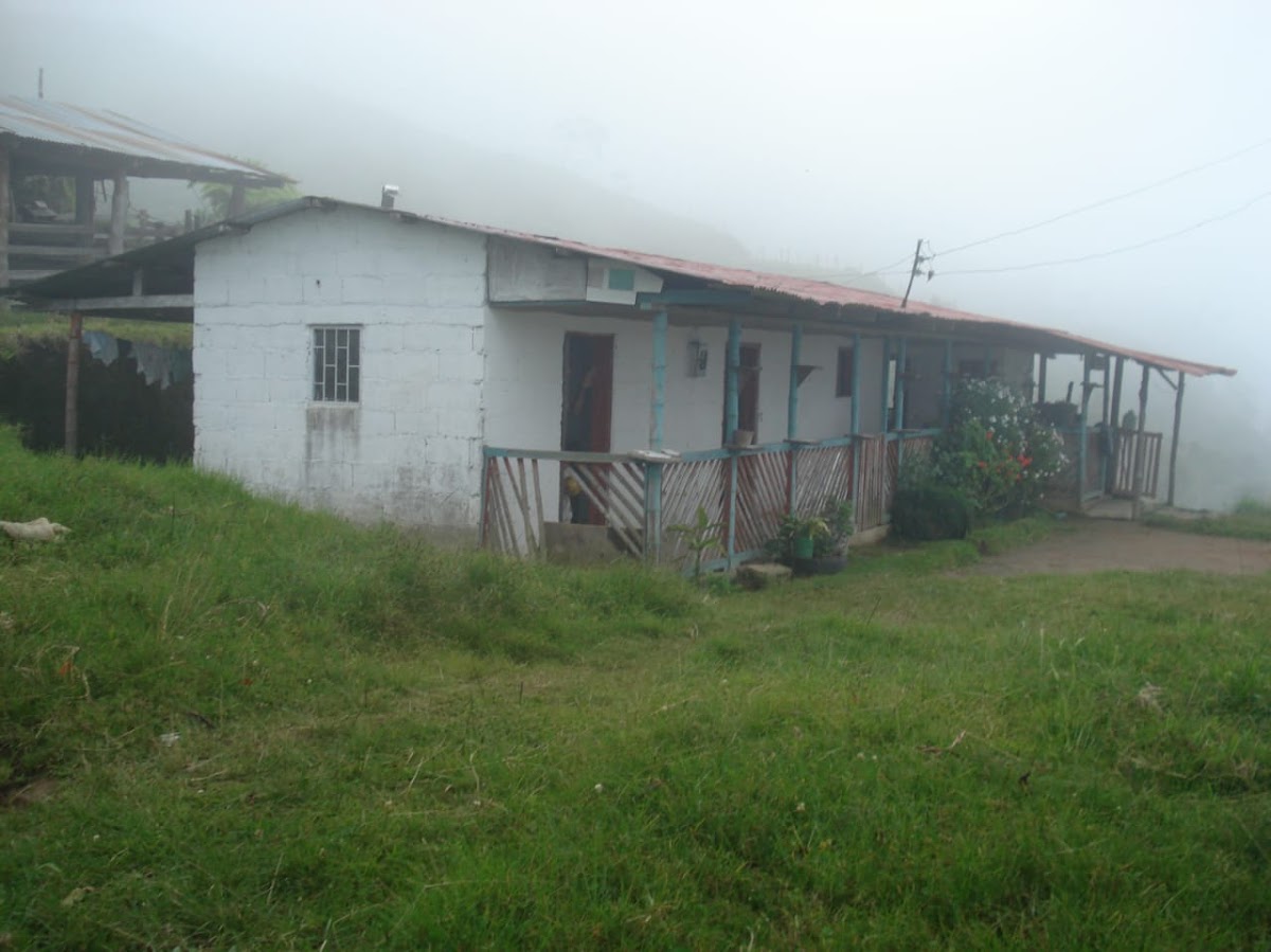 Foto de Finca en Venta en Padua, Libano - 17 - 279020339