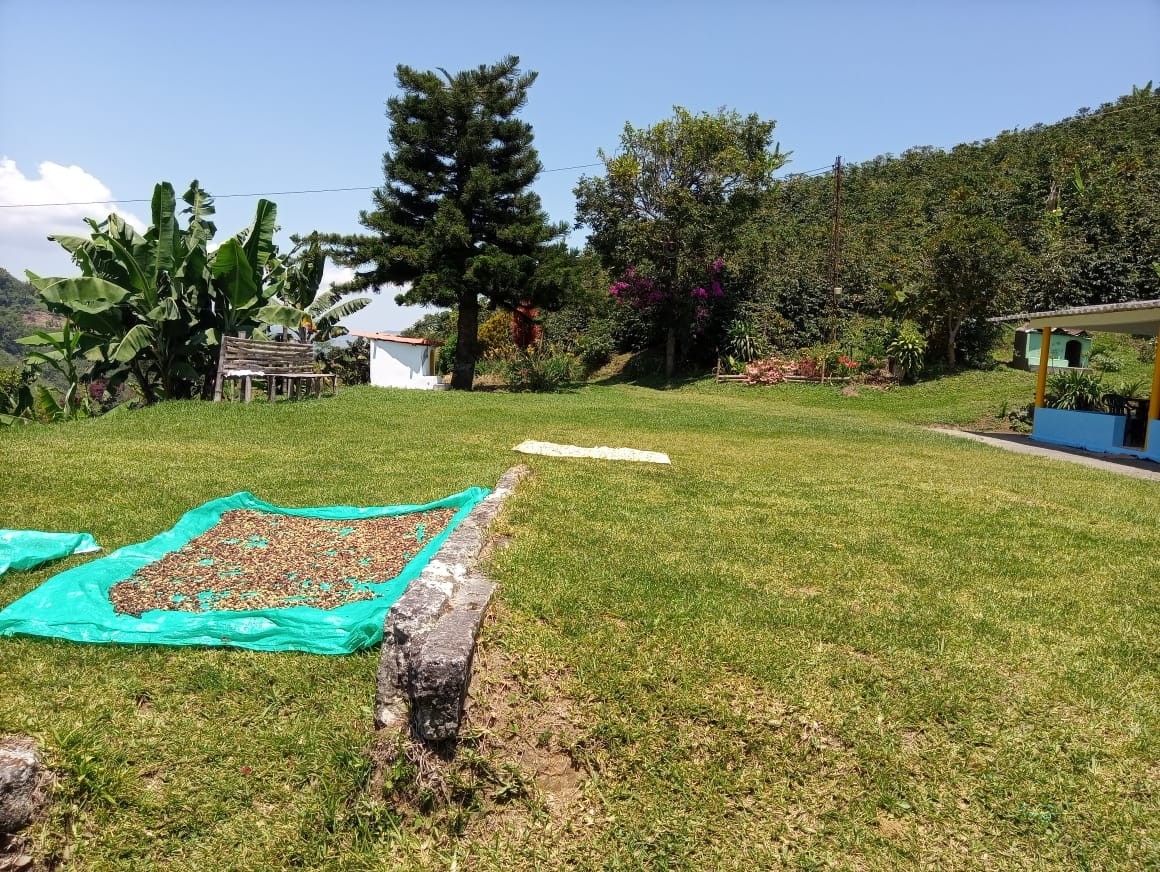 Foto de Finca en Venta en Alto chuscal, Chinchina - 11 - 21129