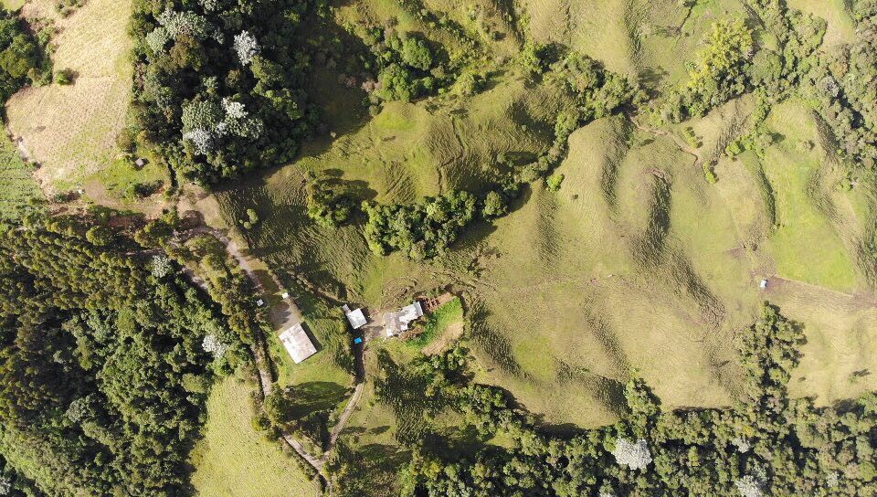 Foto de Finca en Venta en Santa rosa de cabal, Santa rosa de cabal - 27 - 279056021