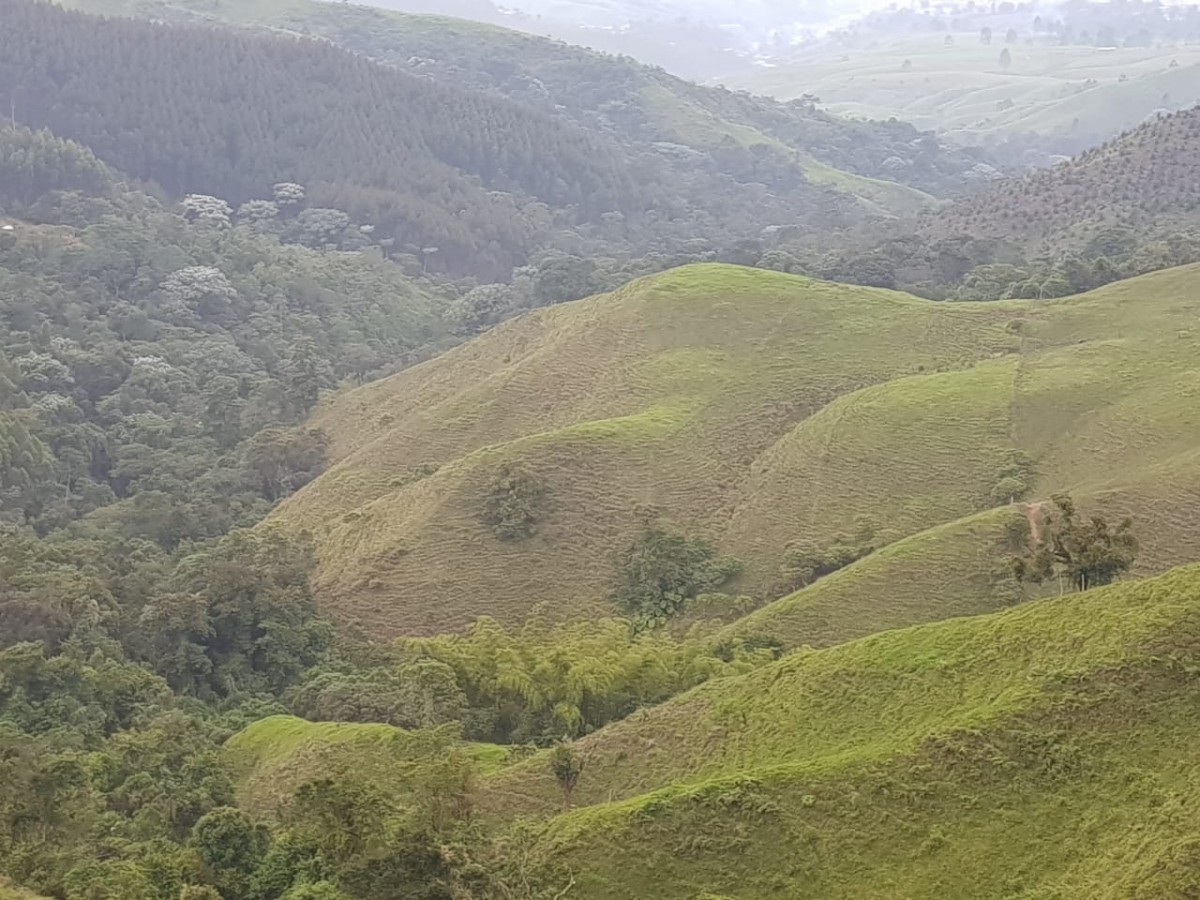 Foto de Finca en Venta en Santa rosa de cabal, Santa rosa de cabal - 23 - 279056021
