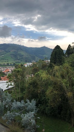 Foto de Apartamento en Venta en Avenida alberto mendoza, Manizales - 3 - 23520