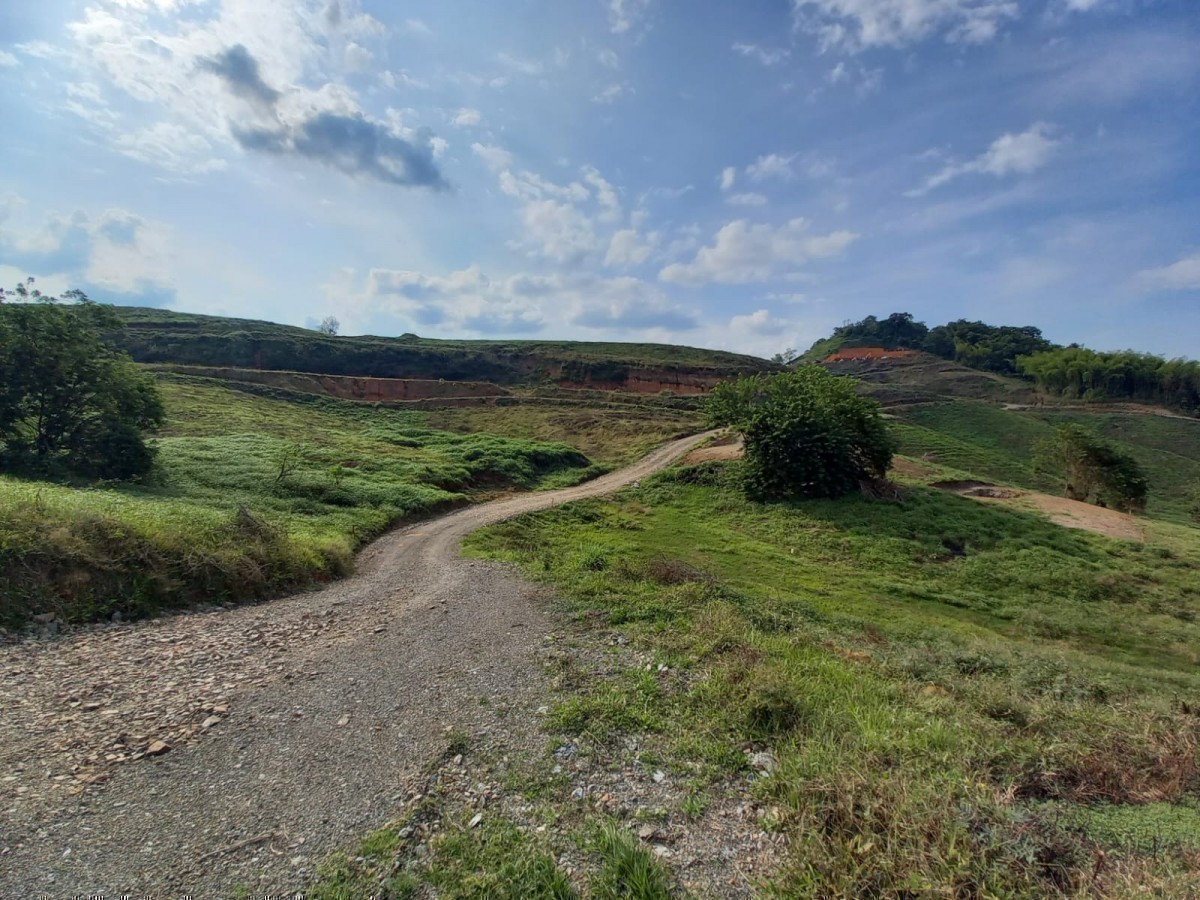 Foto de Lote / terreno en Venta en Vereda santagueda, Palestina - 5 - 24575