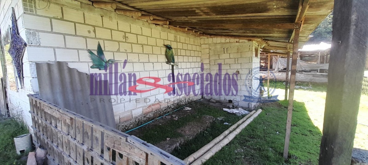Foto de Lote / terreno en Venta en Cerro de oro, Manizales - 9 - 51810