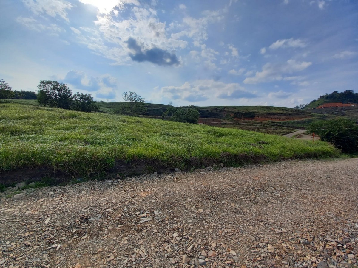 Foto de Lote / terreno en Venta en Vereda santagueda, Palestina - 7 - 279024502